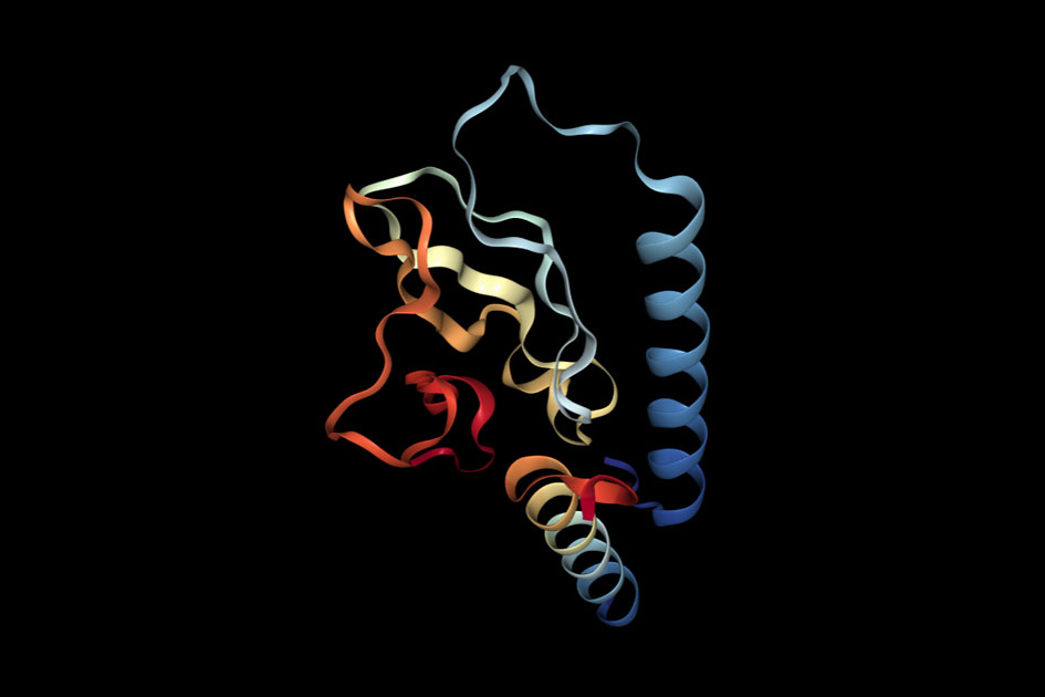 Rewiring the Brain’s Addiction Circuit
