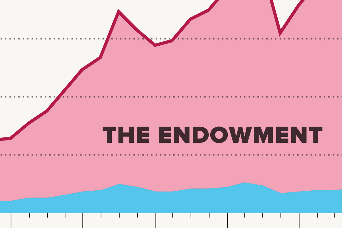 Understanding Reed’s Endowment